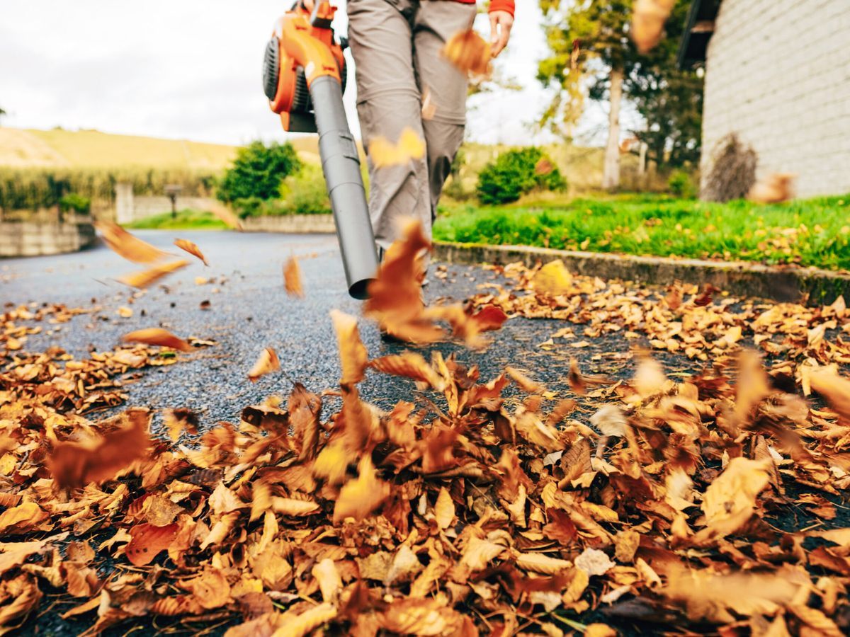 best leaf blowers buying guide, best leaf blower hero image