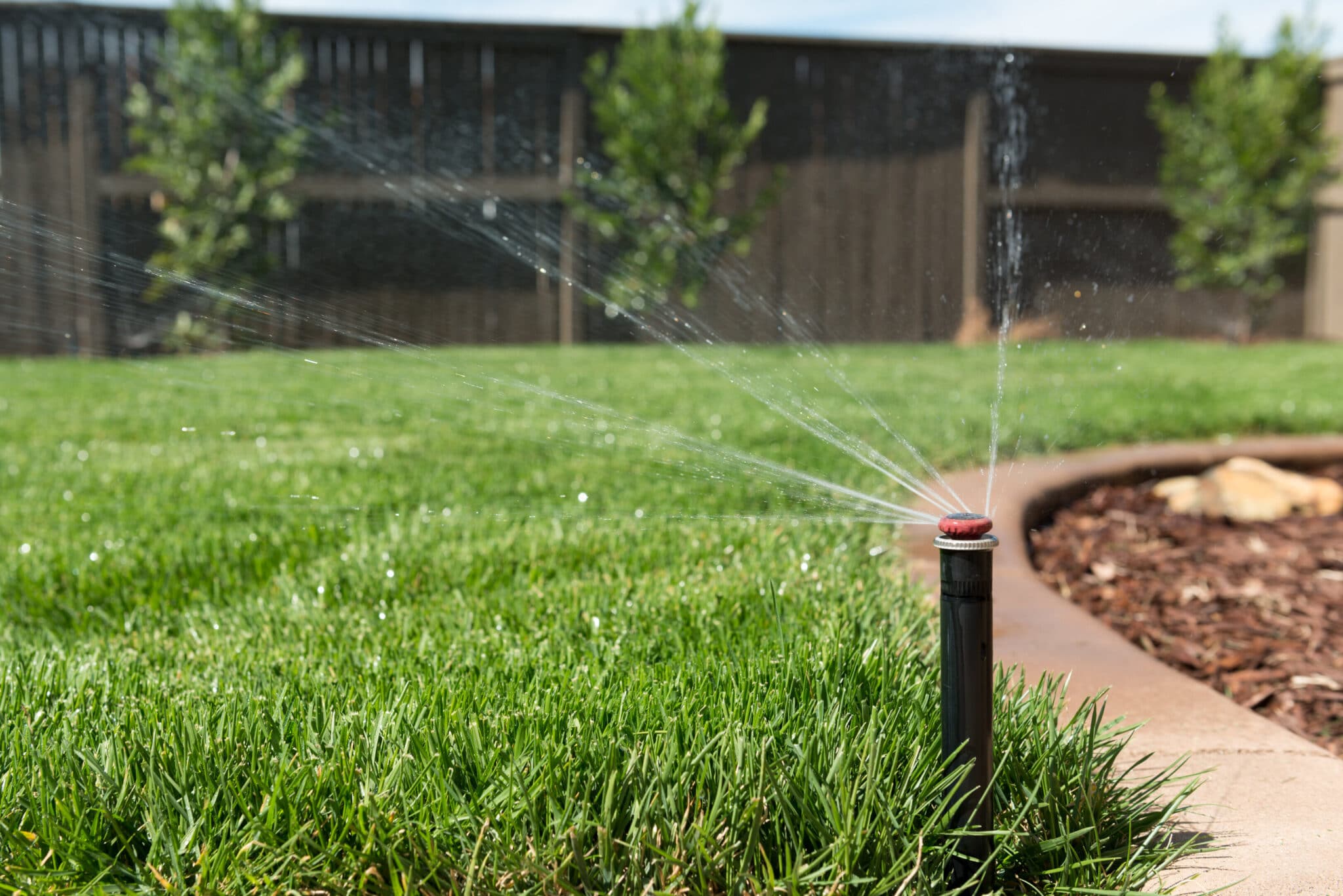 Close-up of a sprinkler in a yard