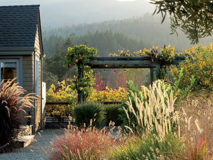 Front of house with arbor and ornamental grasses