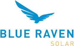 Blue Raven